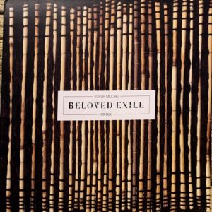 Steve Moore - Beloved Exhile COLOUR