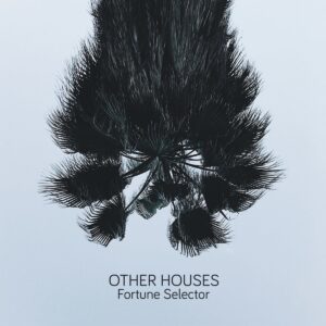 Other Houses - Fortune Selector [CASSETTE]