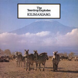 THE TEARDROP EXPLODES - KILIMANJARO