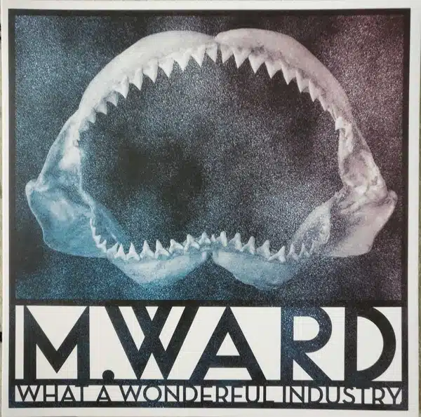 M Ward - What A Wonderful Industry