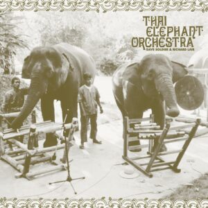 THAI ELEPHANT ORCHESTRA - THAI ELEPHANT ORCHESTRA (RSD 2