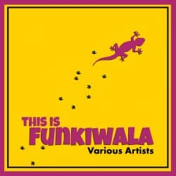 this-is-funkiwala.jpeg