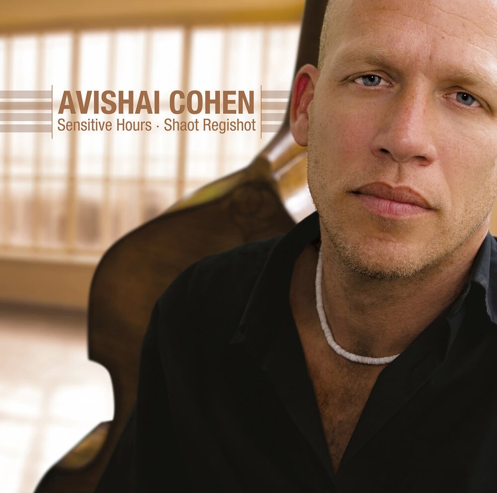 Avishai Cohen - Sensitive Hours