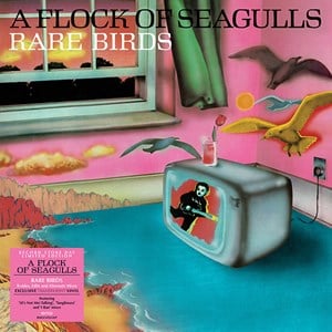 A Flock Of Seagulls - B-Sides & Rarities - ( LP )( Pop )