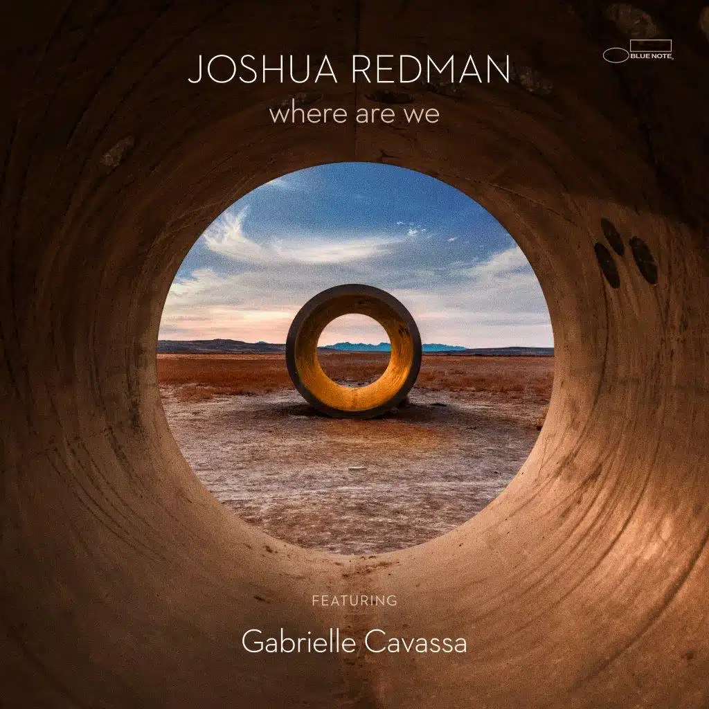JOSHUA REDMAN - where are we
