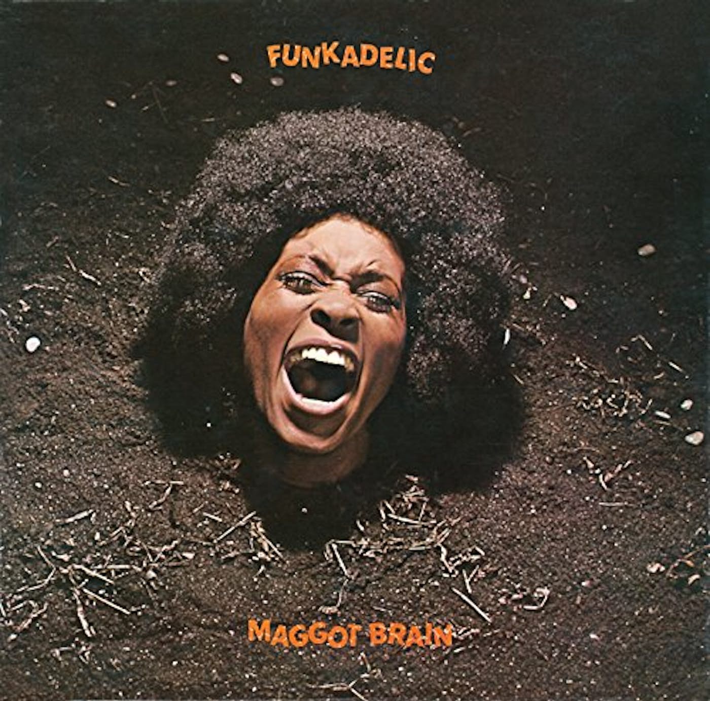 Funkadelic/Maggot Brain (2LP 50th Ann)