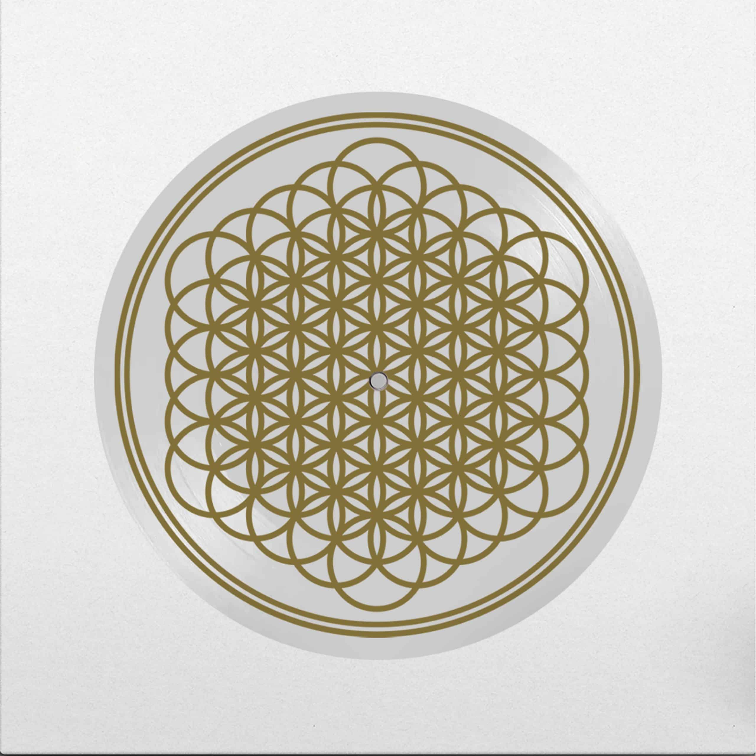 BMTH-Sempiternal-Picture-Disc-Cover.jpg