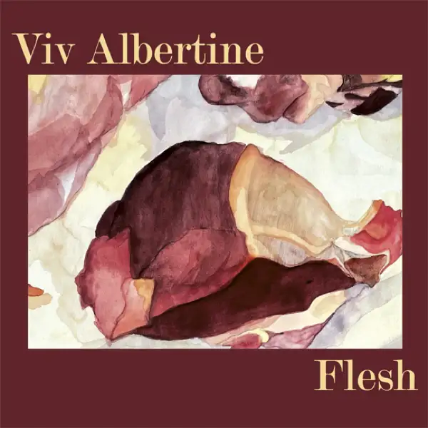 Viv Albertine - Flesh