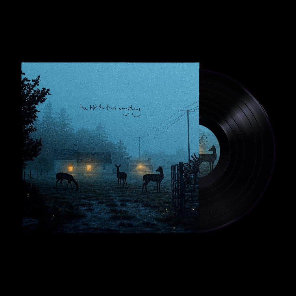 Dermot Kennedy – I’ve Told The Trees Everything PRE-ORDER ANNOUNCMENT